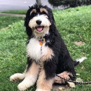 Meet your Posher, Chloe